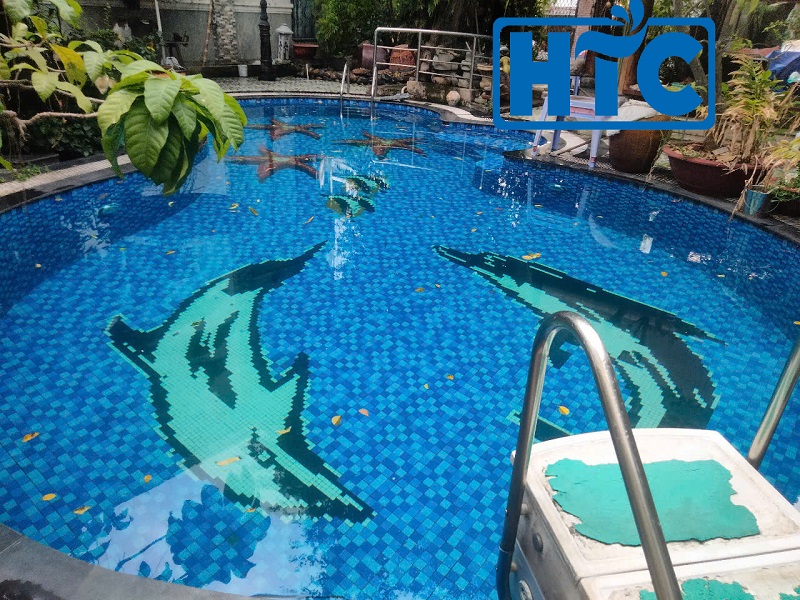 Dự án bảo trì và nâng cấp hồ bơi anh Hùng