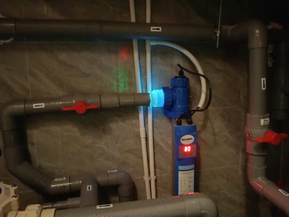 Thi công hồ bơi gia đình chị Thảo